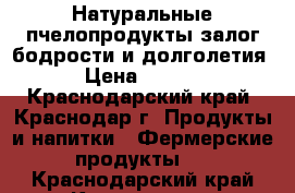 Натуральные пчелопродукты-залог бодрости и долголетия! › Цена ­ 1 000 - Краснодарский край, Краснодар г. Продукты и напитки » Фермерские продукты   . Краснодарский край,Краснодар г.